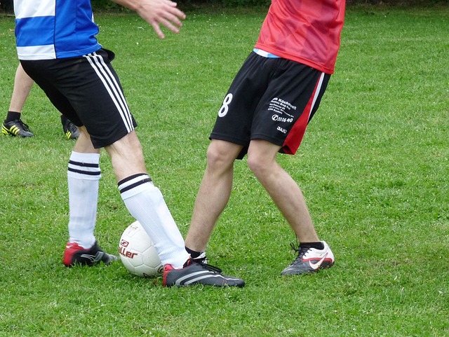 拥有足够的 拥有足够的