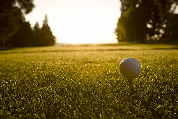 他们不仅充 他们不仅充