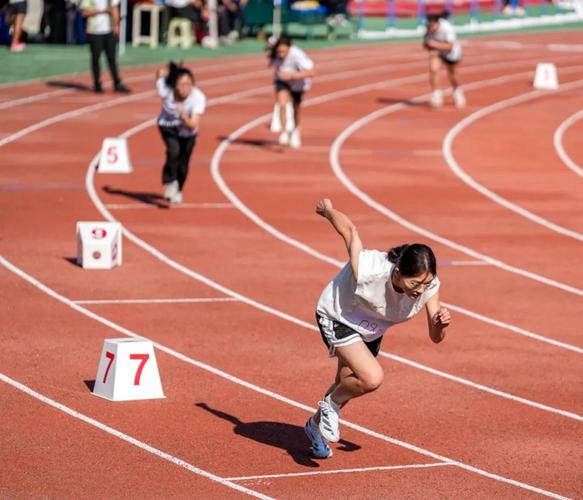 [羽毛球]羽超联赛总决赛决赛：青岛VS瑞昌.