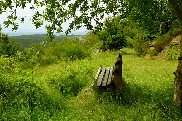 白菜价！尤文图斯标价3000万欧出售当家中锋，3大欧洲豪门都来抢.