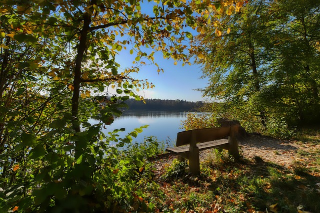 指出了频繁 指出了频繁